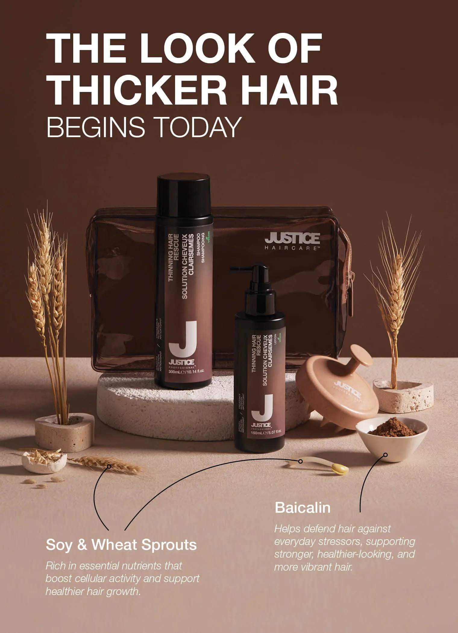 Promotion Image
